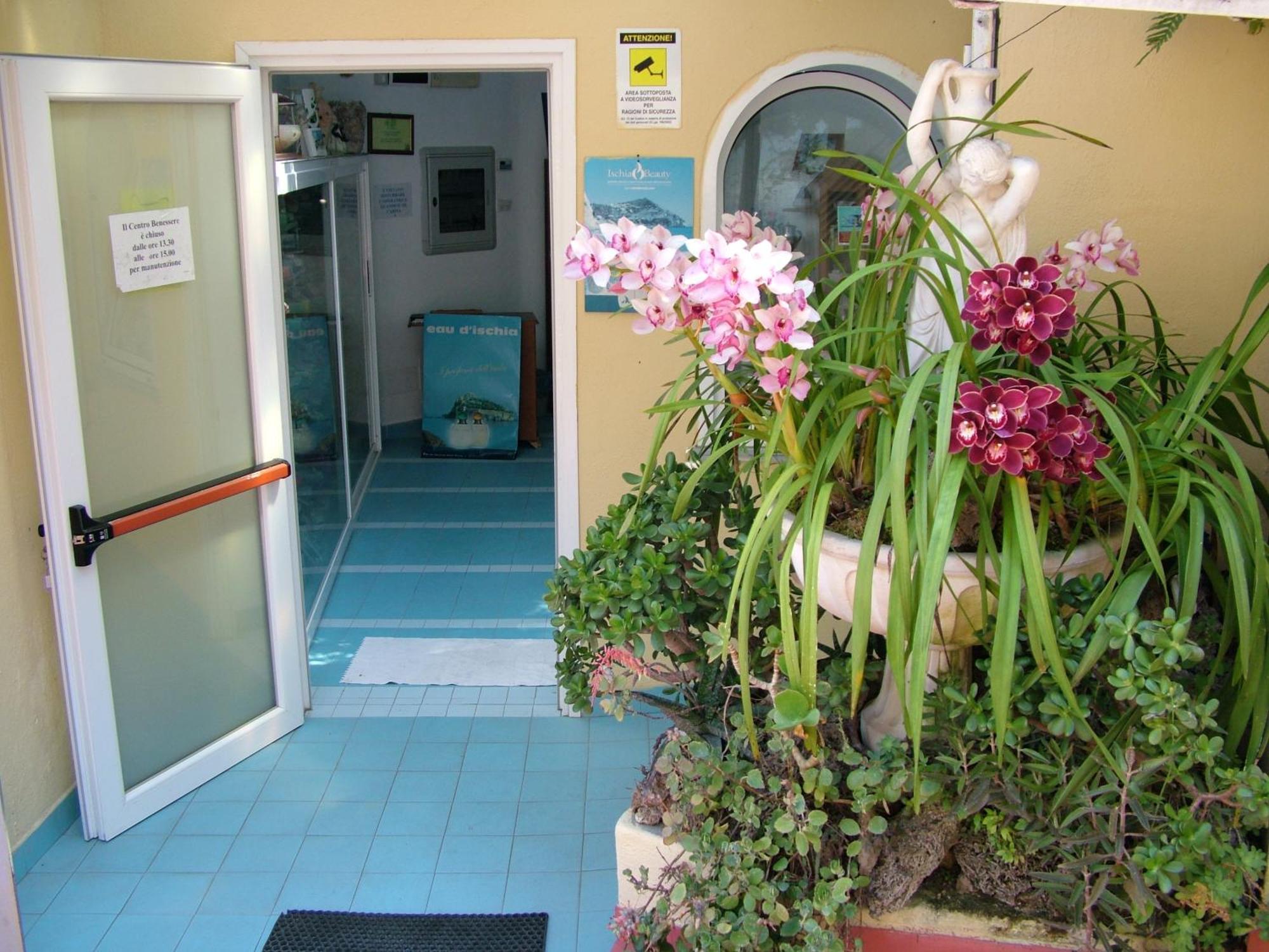 Hotel Giardino Delle Ninfe E La Fenice Ischia Zewnętrze zdjęcie